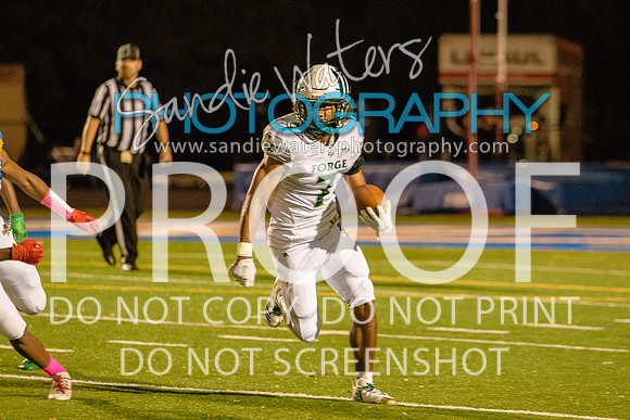 20181012_Colonial Forge_242