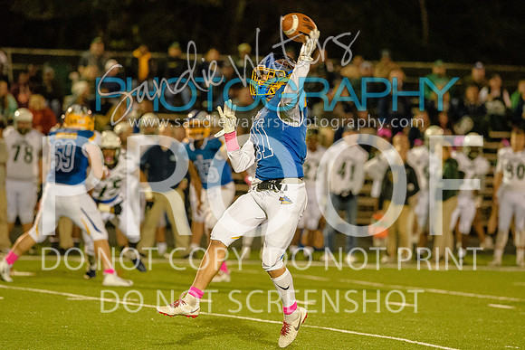 20181012_Colonial Forge_656