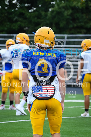 Blue-Gold_2019-003