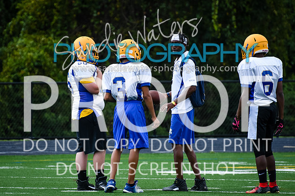 Blue-Gold_2019-004