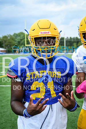 Blue-Gold_2019-005
