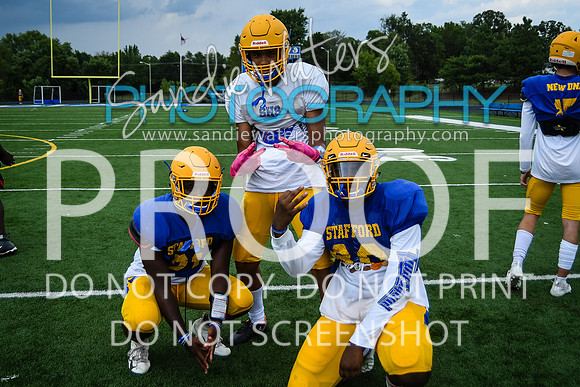 Blue-Gold_2019-006