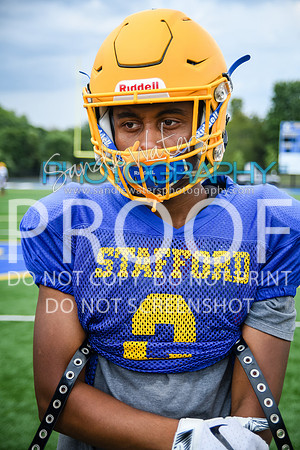 Blue-Gold_2019-009