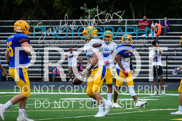 Blue-Gold_2019-031