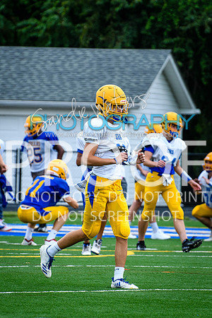 Blue-Gold_2019-061