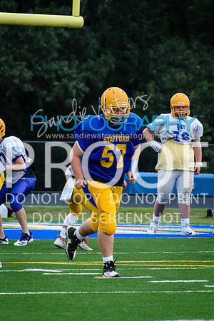 Blue-Gold_2019-062