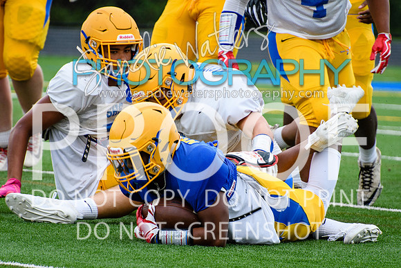 Blue-Gold_2019-131