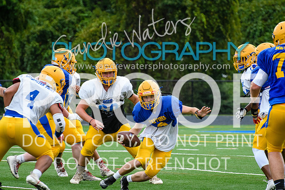 Blue-Gold_2019-133