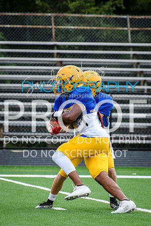 Blue-Gold_2019-142