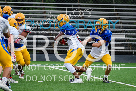 Blue-Gold_2019-143