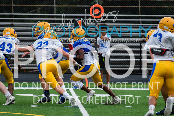 Blue-Gold_2019-146
