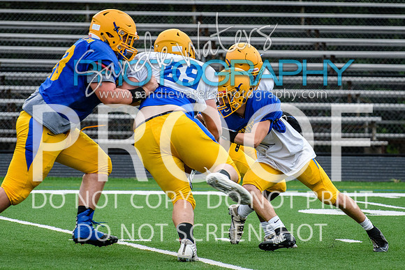 Blue-Gold_2019-150