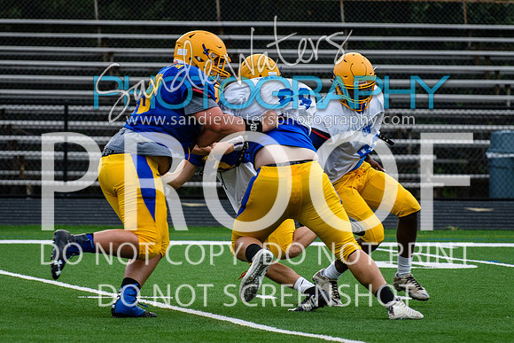 Blue-Gold_2019-151