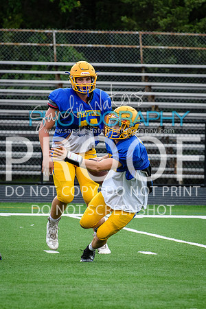 Blue-Gold_2019-152