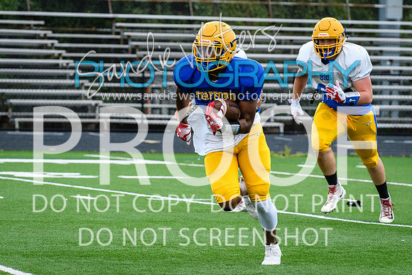 Blue-Gold_2019-156