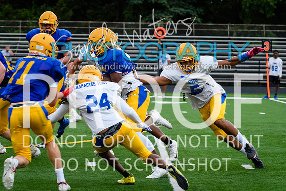 Blue-Gold_2019-159