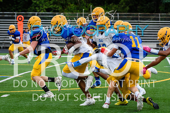 Blue-Gold_2019-160