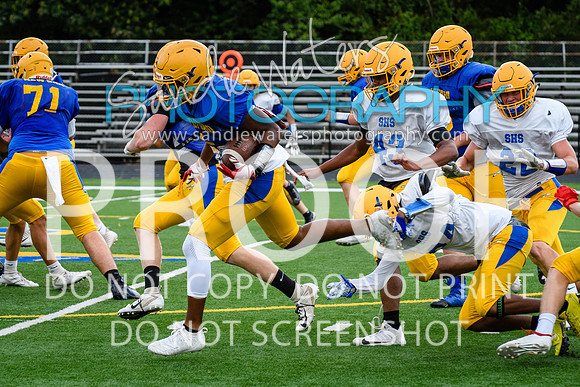 Blue-Gold_2019-161