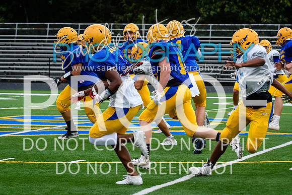Blue-Gold_2019-162