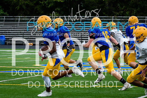 Blue-Gold_2019-163