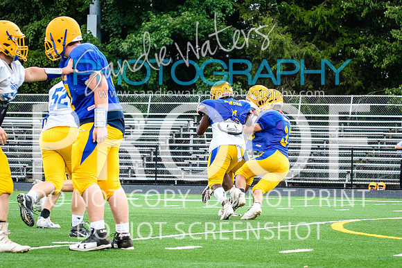 Blue-Gold_2019-198