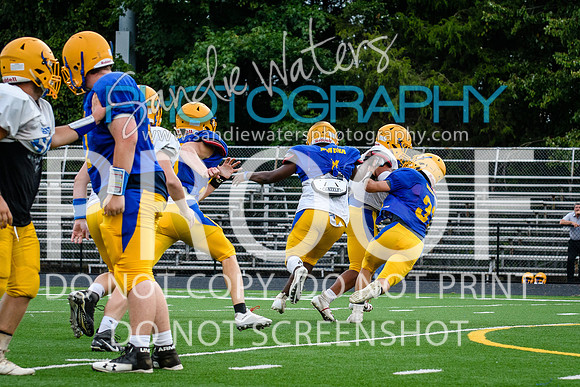 Blue-Gold_2019-199