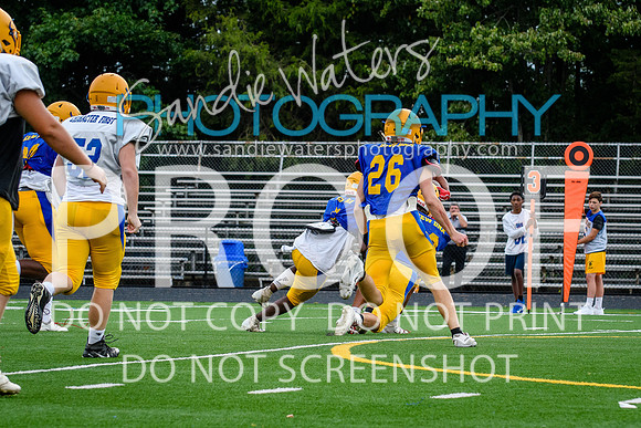 Blue-Gold_2019-202