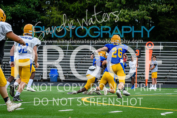 Blue-Gold_2019-203