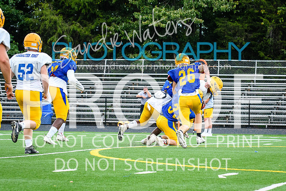 Blue-Gold_2019-204