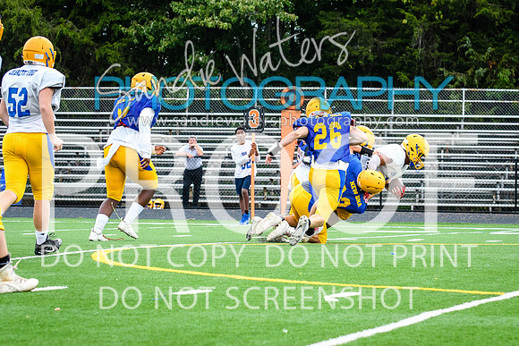 Blue-Gold_2019-206