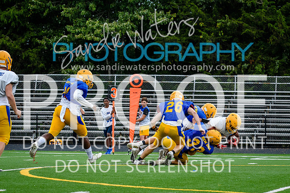 Blue-Gold_2019-207
