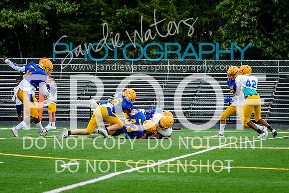 Blue-Gold_2019-209