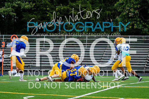 Blue-Gold_2019-210
