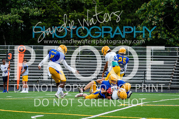 Blue-Gold_2019-211