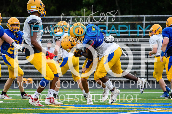Blue-Gold_2019-213