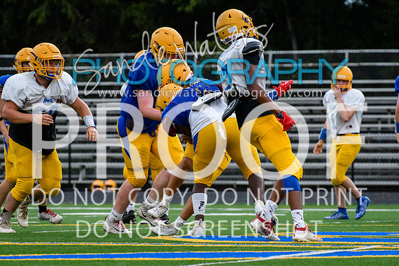 Blue-Gold_2019-216