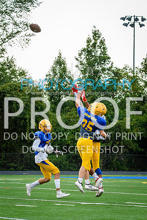 Blue-Gold_2019-222