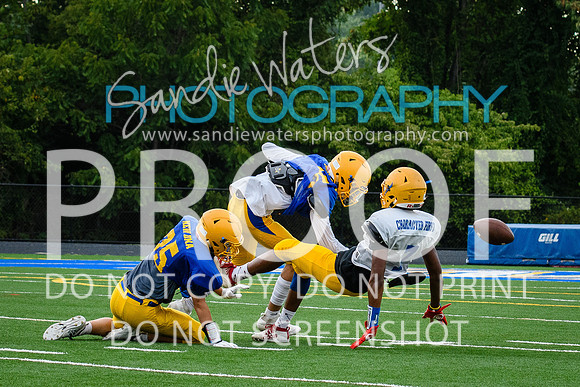 Blue-Gold_2019-227