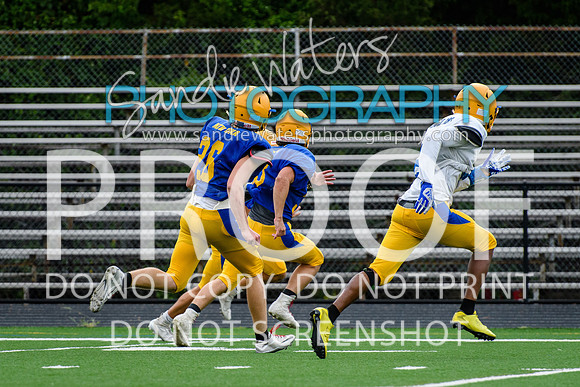Blue-Gold_2019-231