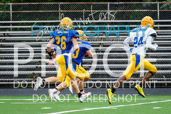 Blue-Gold_2019-233