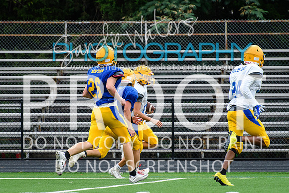 Blue-Gold_2019-235