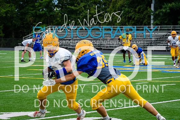 Blue-Gold_2019-240