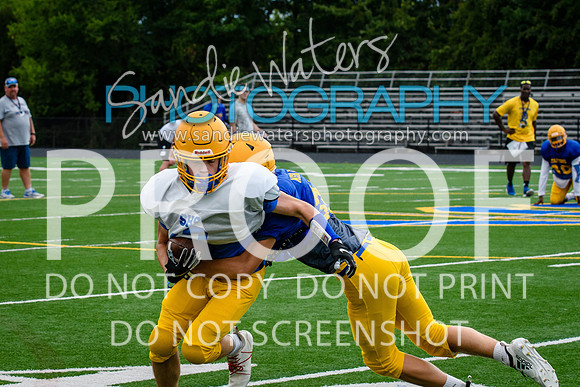 Blue-Gold_2019-241
