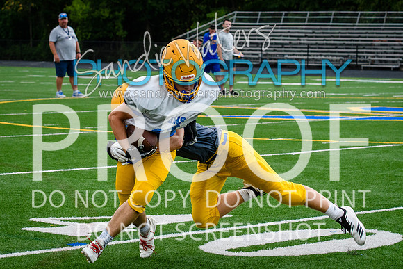 Blue-Gold_2019-242