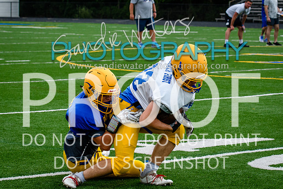 Blue-Gold_2019-244