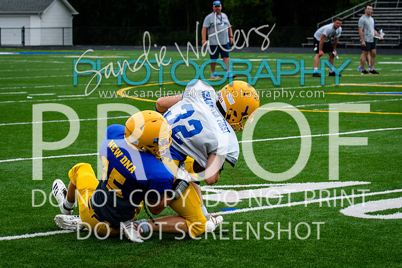 Blue-Gold_2019-245