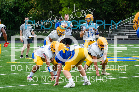 Blue-Gold_2019-250