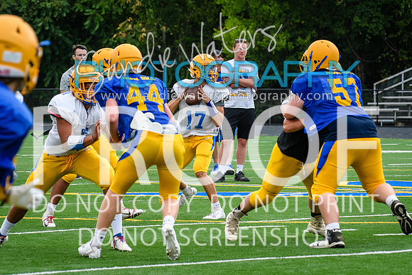 Blue-Gold_2019-251