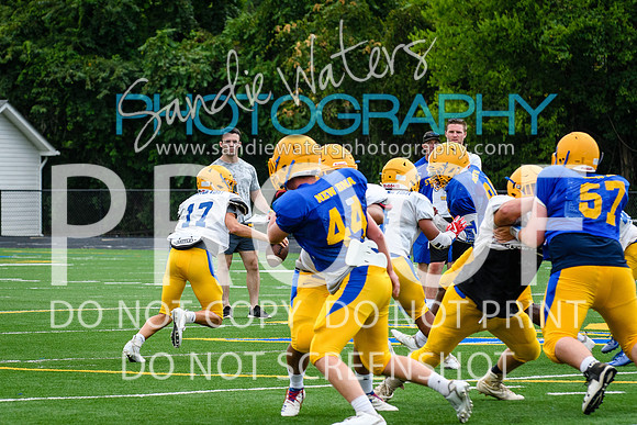 Blue-Gold_2019-253