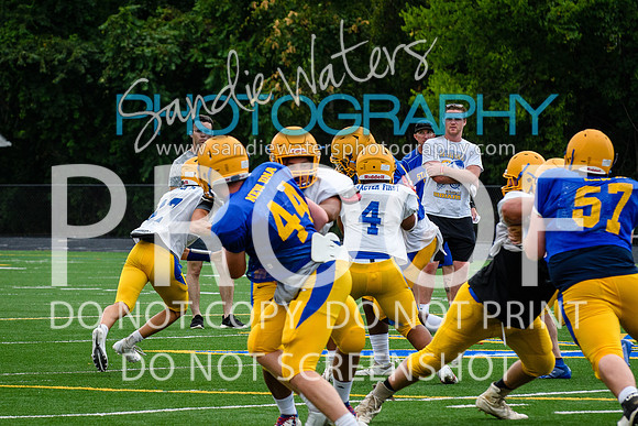 Blue-Gold_2019-254